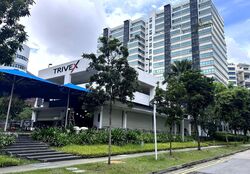 Trivex (D13), Factory #509828961